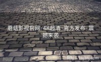 蘑菇影视官网·4K超清·官方发布·震撼来袭