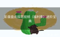 彩蛋盘点探花视频（福利季）进阶宝典