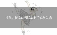 探花：新品首秀版本上手追剧首选
