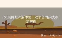 51网网址深度体验：双平台同步技术流解析