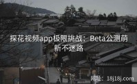 探花视频app极限挑战：Beta公测萌新不迷路