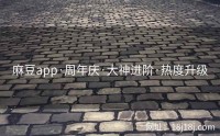 麻豆app·周年庆·大神进阶·热度升级