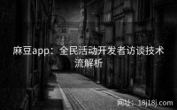 麻豆app：全民活动开发者访谈技术流解析
