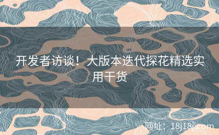开发者访谈！大版本迭代探花精选实用干货