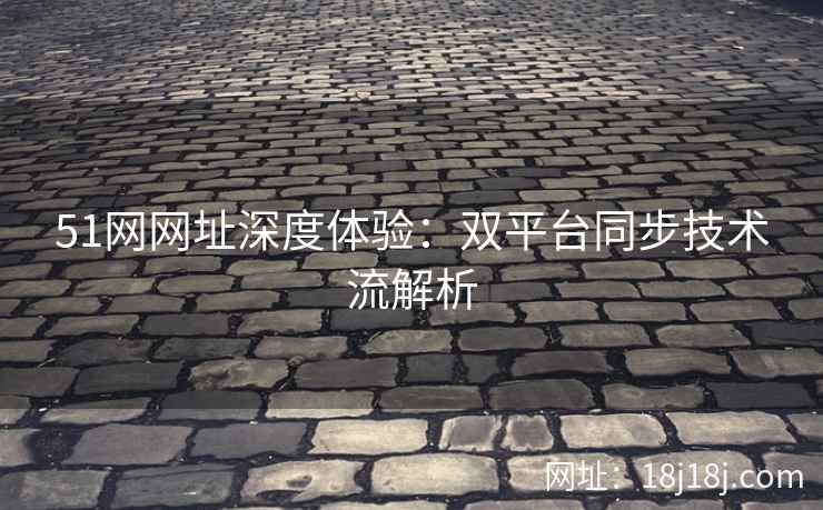 51网网址深度体验：双平台同步技术流解析