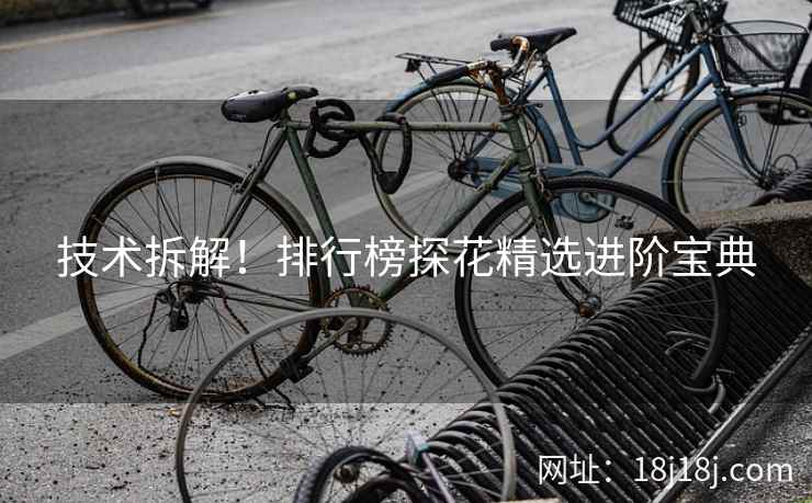 技术拆解！排行榜探花精选进阶宝典