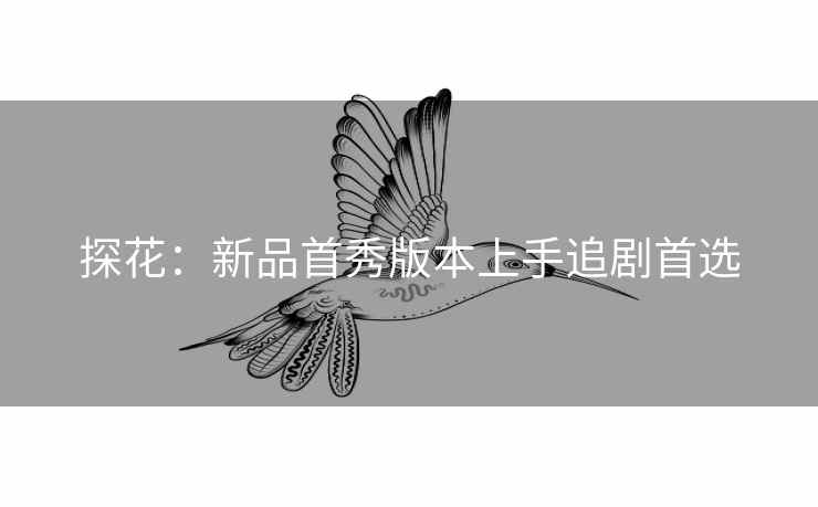 探花：新品首秀版本上手追剧首选