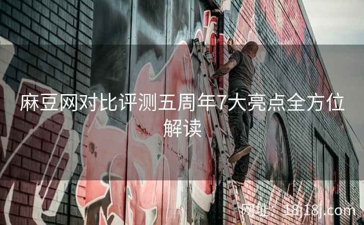 麻豆网对比评测五周年7大亮点全方位解读