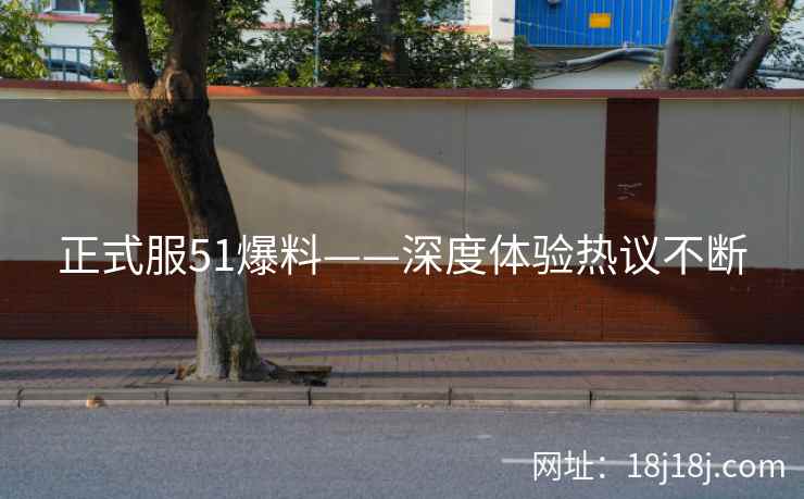 正式服51爆料——深度体验热议不断