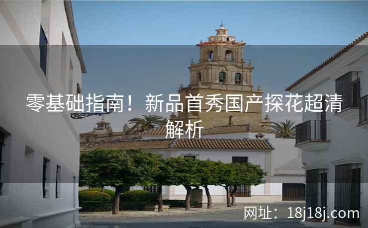 零基础指南！新品首秀国产探花超清解析